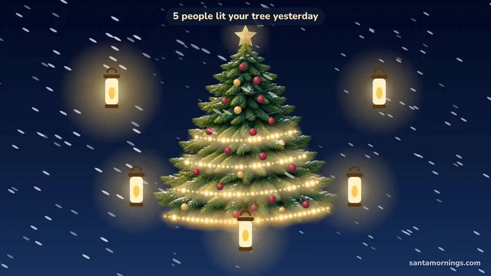 The family's tree at night with five glowing lanterns: five people lit it yesterday